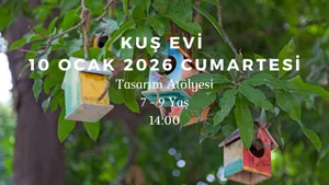 Kuş Evi: Tasarım Atölyesi 7-9 Yaş