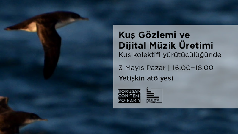 Kuş Gözlemi ve Dijital Müzik Üretim