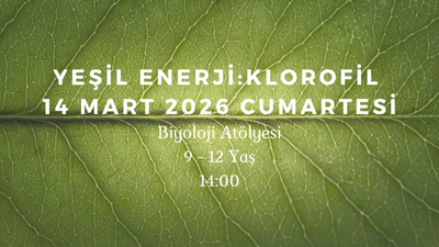 Yeşil Enerji - Klorofil 9-12 Yaş